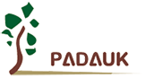應廣單片機(PADAUK)