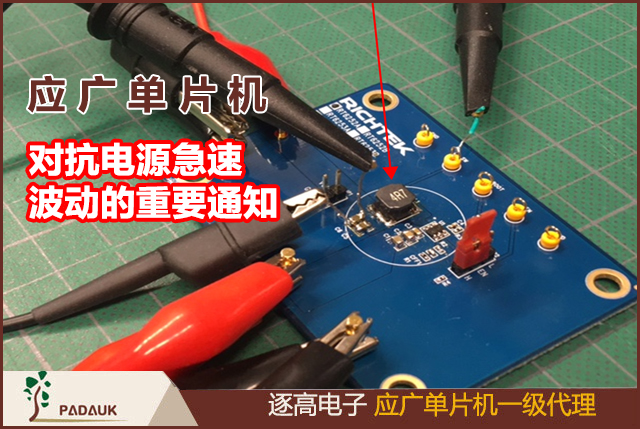應(yīng)該科技單片機PMC-APN006PMC150/153/156/166對抗電源急速波動的重要通知,遇電源急速波動（例如電源 被手動快速開關(guān)，或者是因為強烈的電源雜訊）