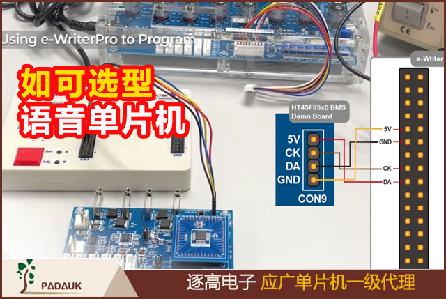 單片機語音芯片(MCU)如可選型采購,單片機代理商有那一些,此文您值得參考,讓你事半功倍,對您的單片機語音應用開發(fā)有建設性指導思路